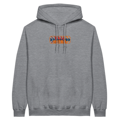 7a203ad2-fdd2-4683-a8bf-039a49306d1b